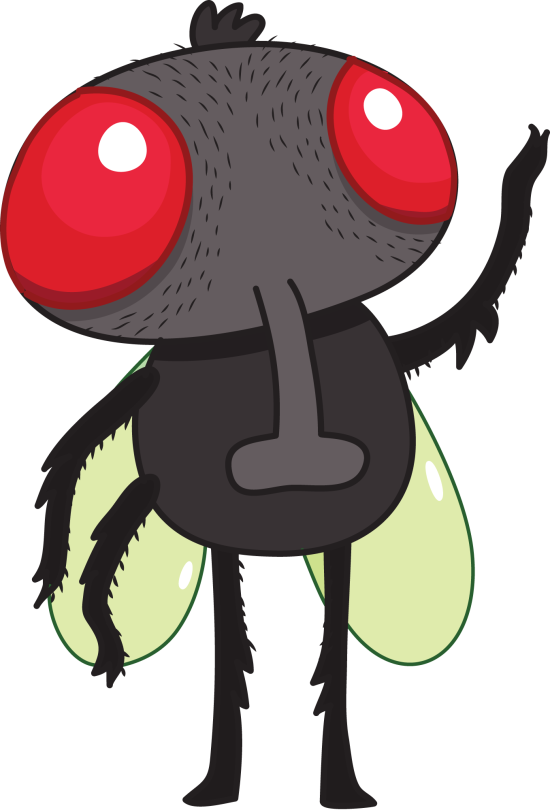 Mouche