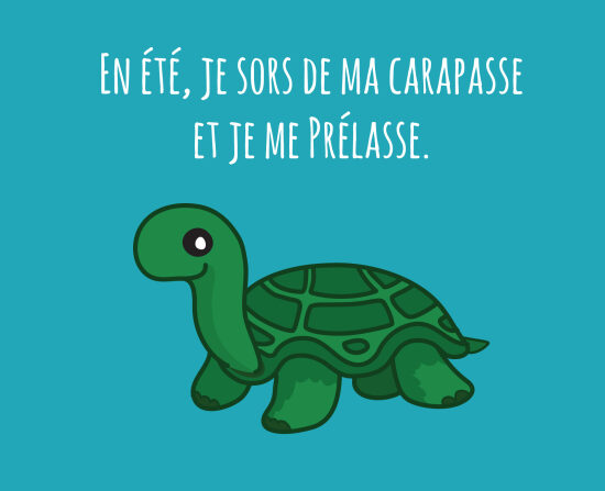 ct2c_isgrael_la_tortue - Copie.jpg
