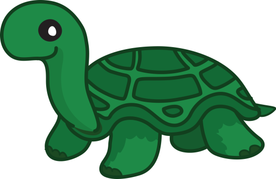 Tortue